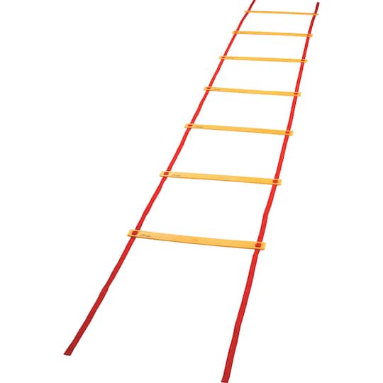 Champion Sports Economy Agility Ladder | 20ft x 20" | Michaels®